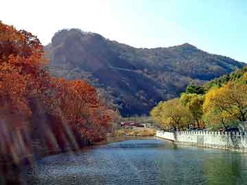 新澳天天开奖资料大全旅游团，星际之寻找遗迹